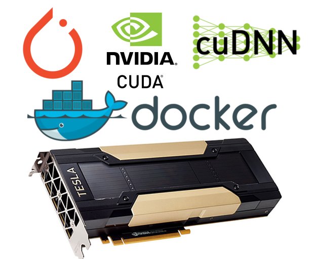 PyTorch + CUDA + CUDNN stack in Docker